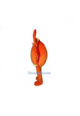 High Quality Crab Mascot Costumes