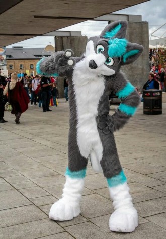 Gray & Blue Husky Mascot Costume Free Shipping