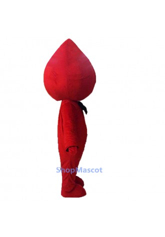 Blood Mascot Costumes Free Shipping